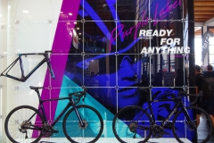 Basso_PurpleLine