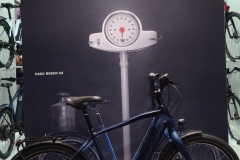 Simpl_KaguBosch_Poster