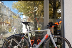 Feine_Basso_Venta_Grau_Ultegra_Triahtlon