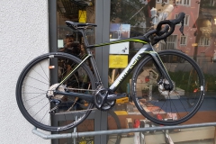 Feine_Simplon_Pride_Ultegra_DTSwiss