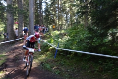 Weltmeisterschaft Lenzerheide Nino Schurter 2018